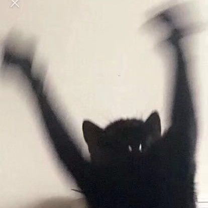 毒