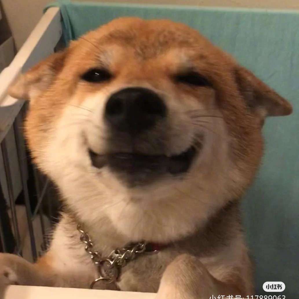 活着