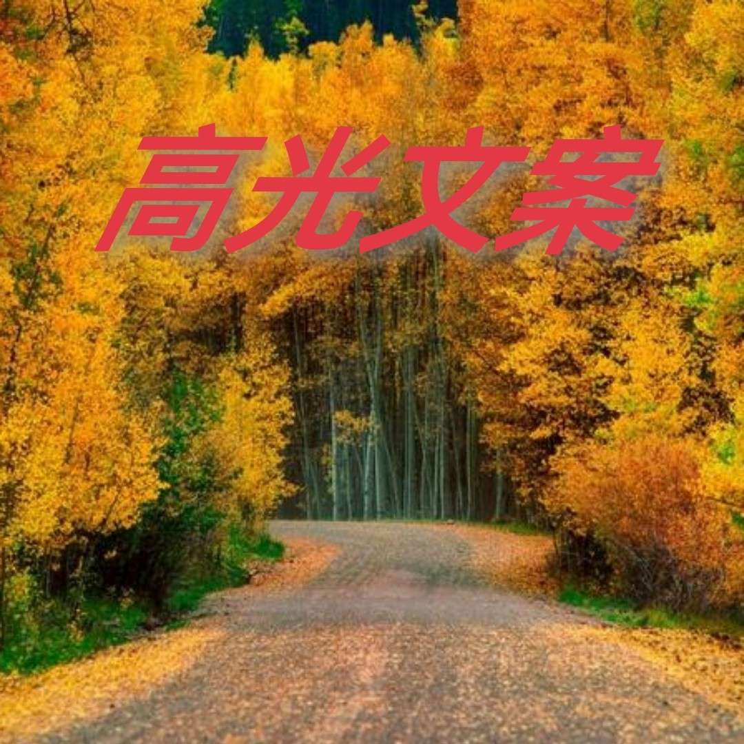 高光文案