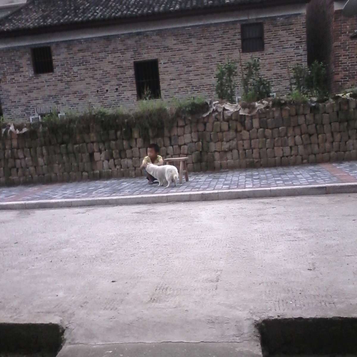 诗吾的诗