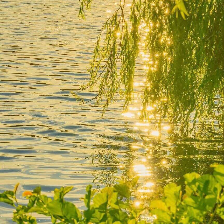 夏天