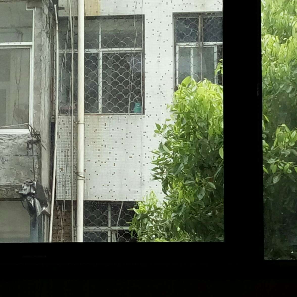 某某