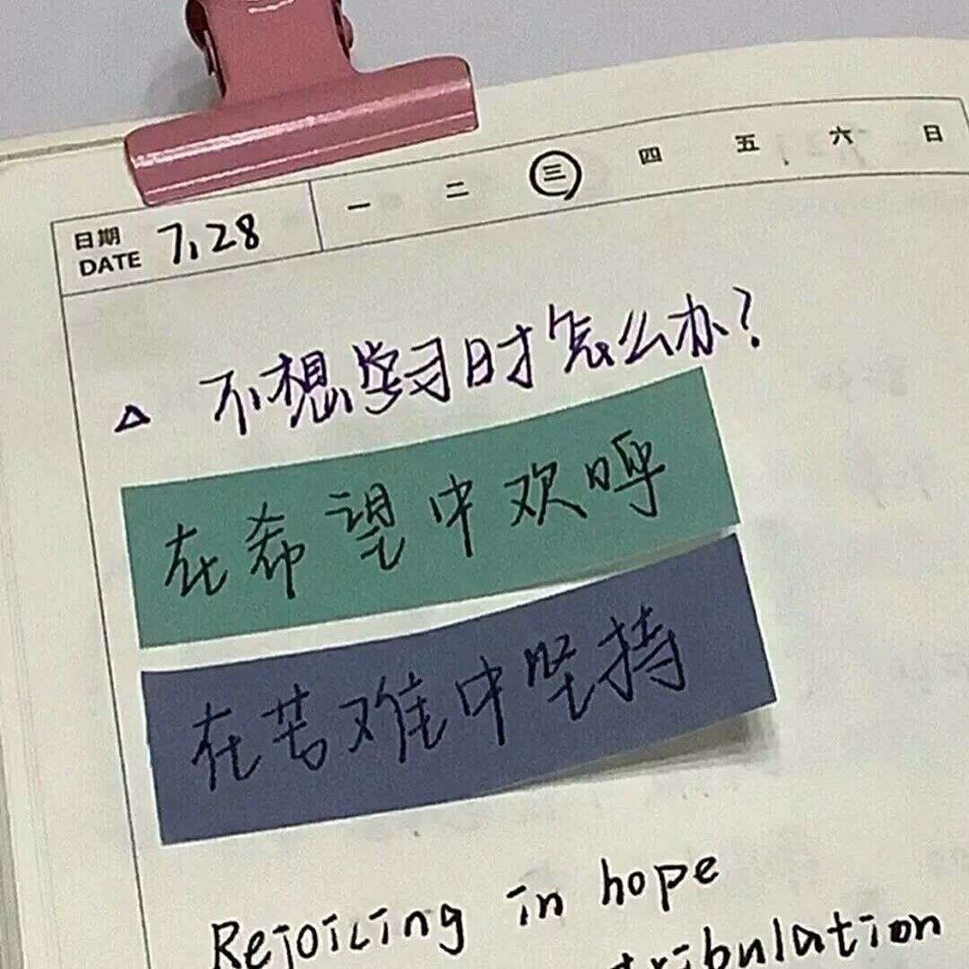 九厘米的雾
