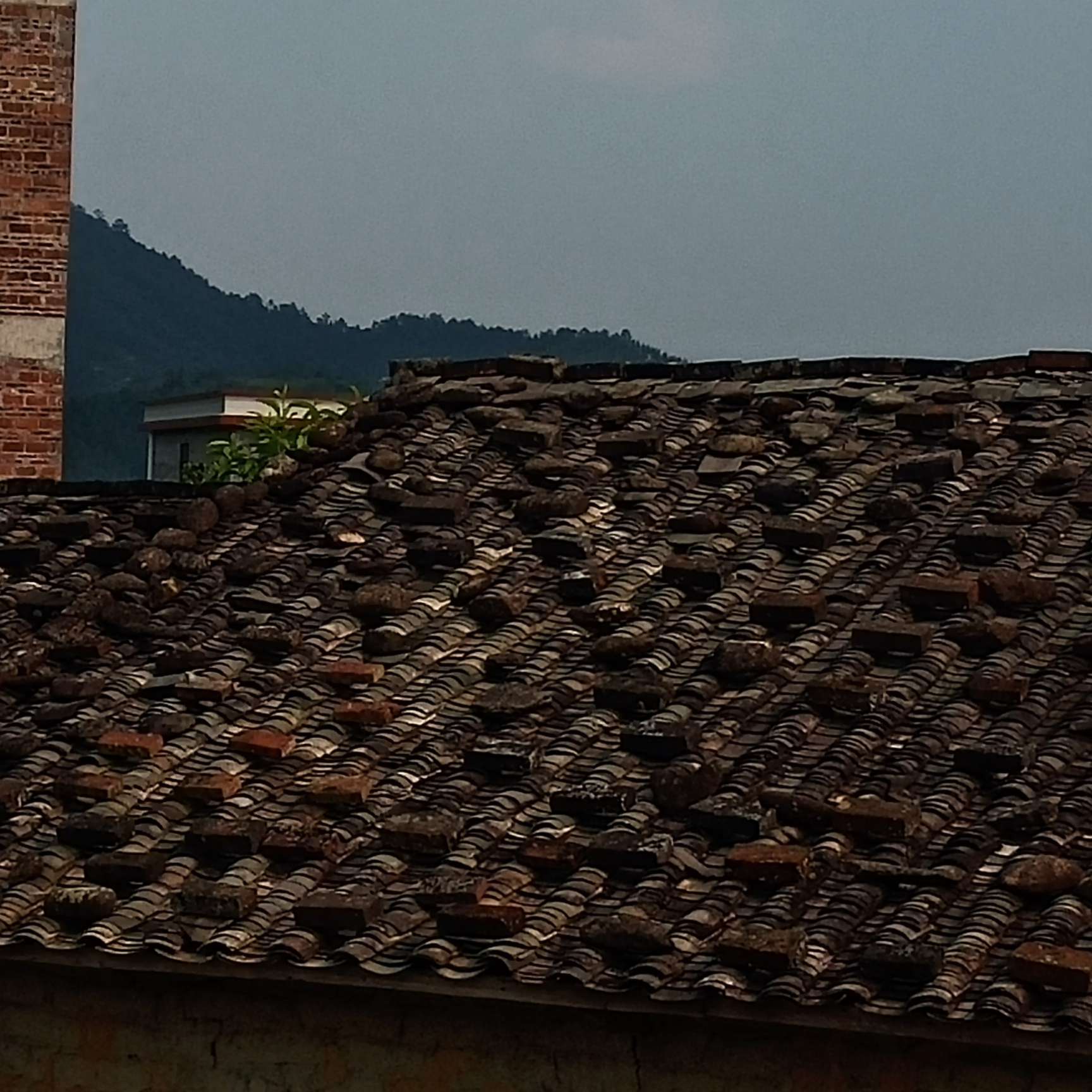 丧系