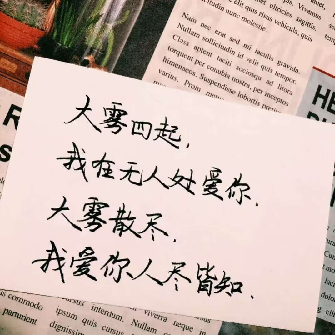 我的专辑