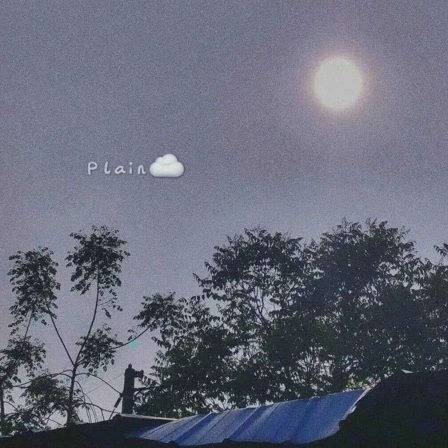 温柔"