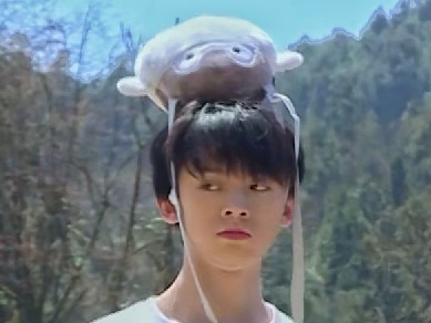 TF家族左航