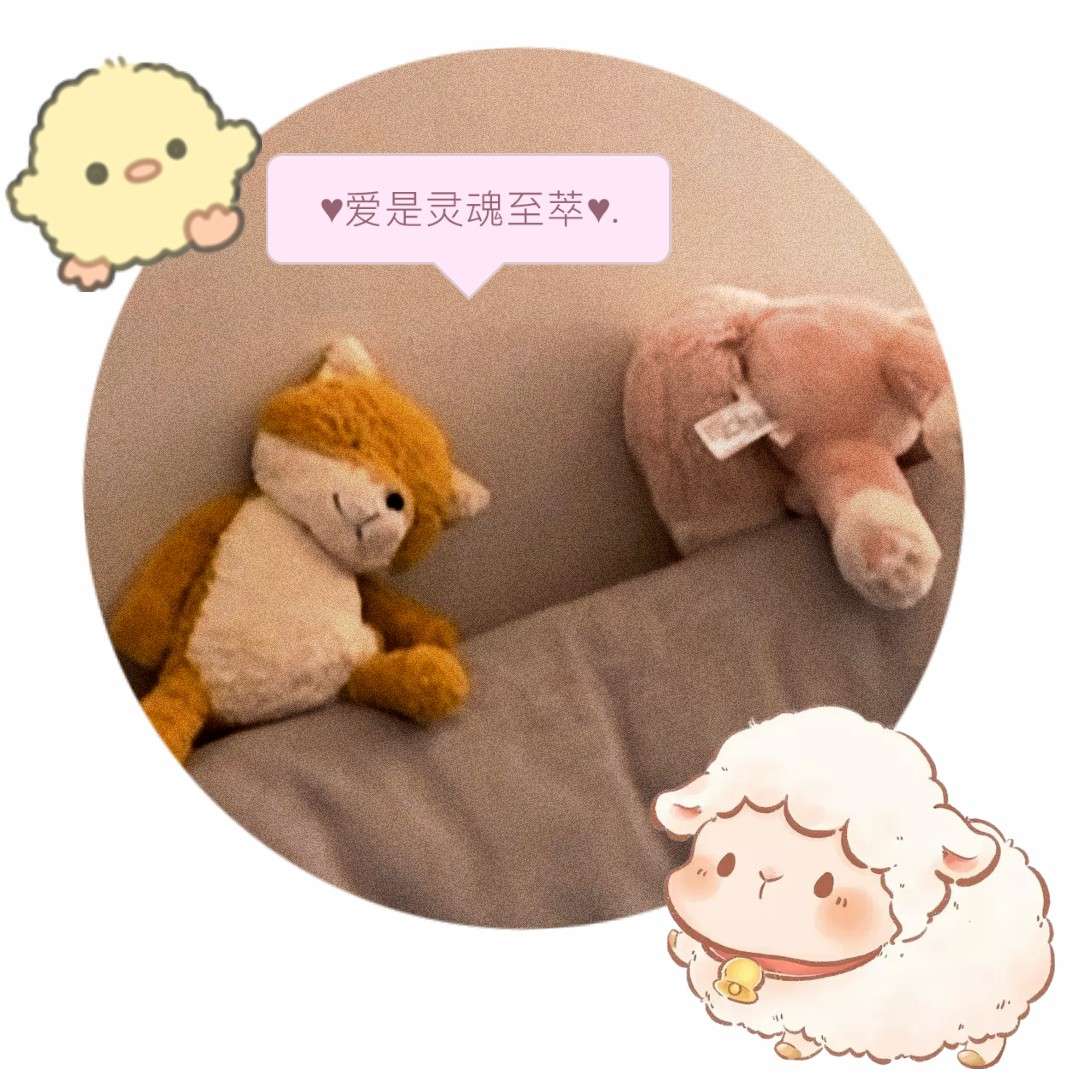 张真源‖张不圆○