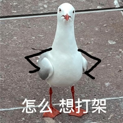 搞笑文案