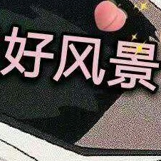 明星语录