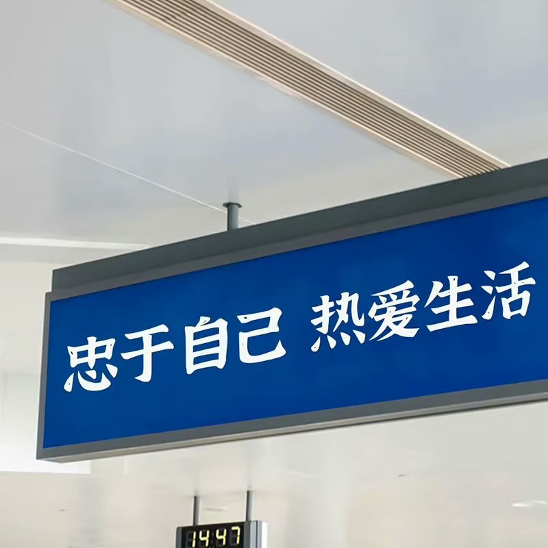 摘抄语录