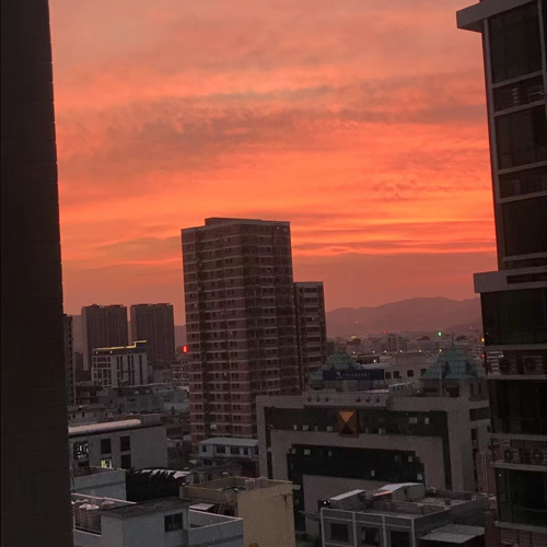 春日限定浪漫