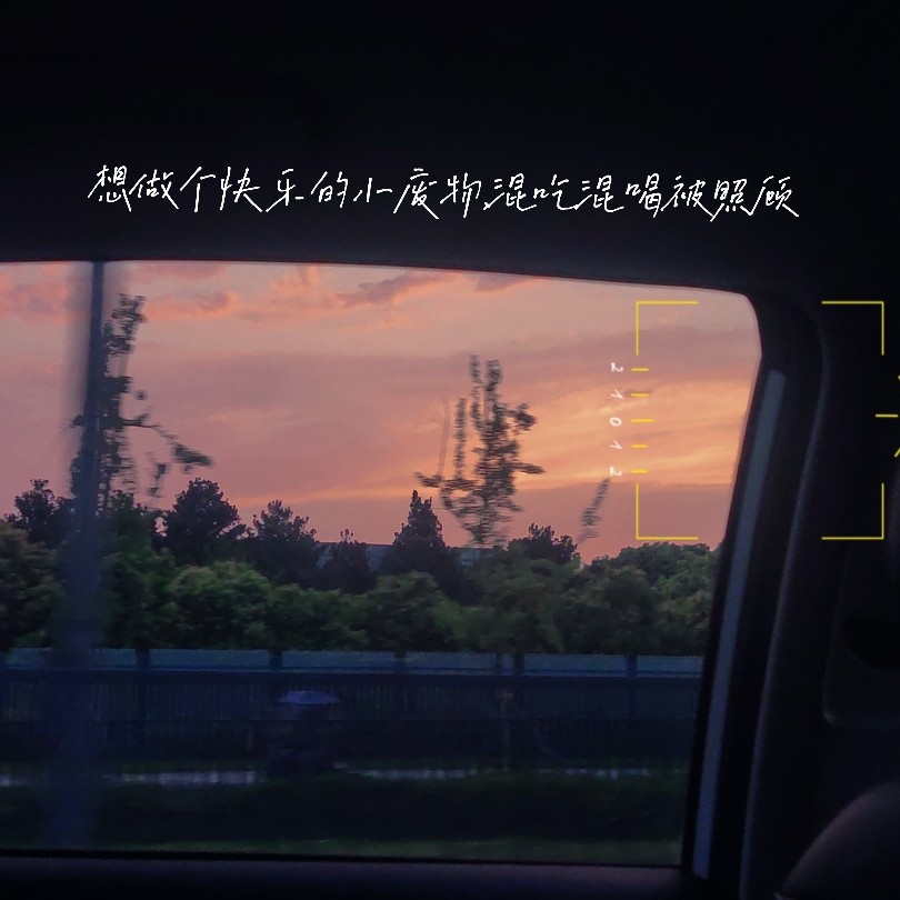 我只是想起你了，不是想你了