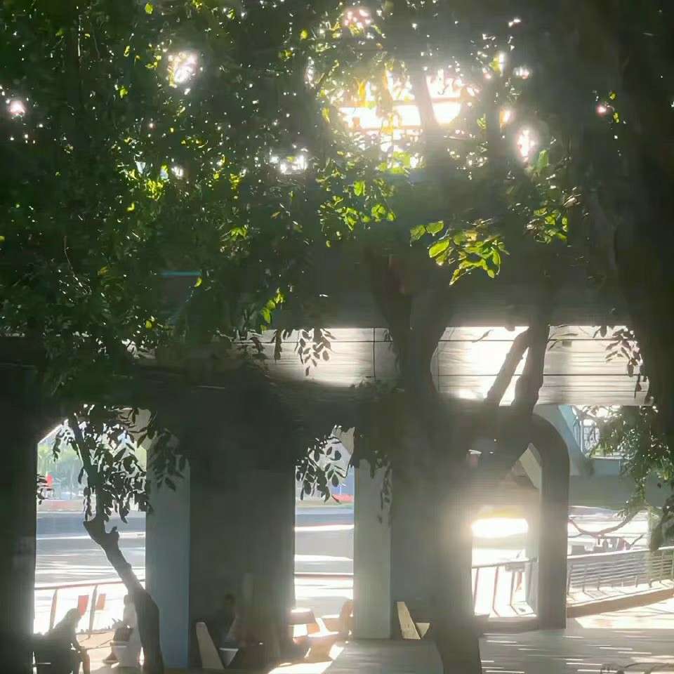 素材