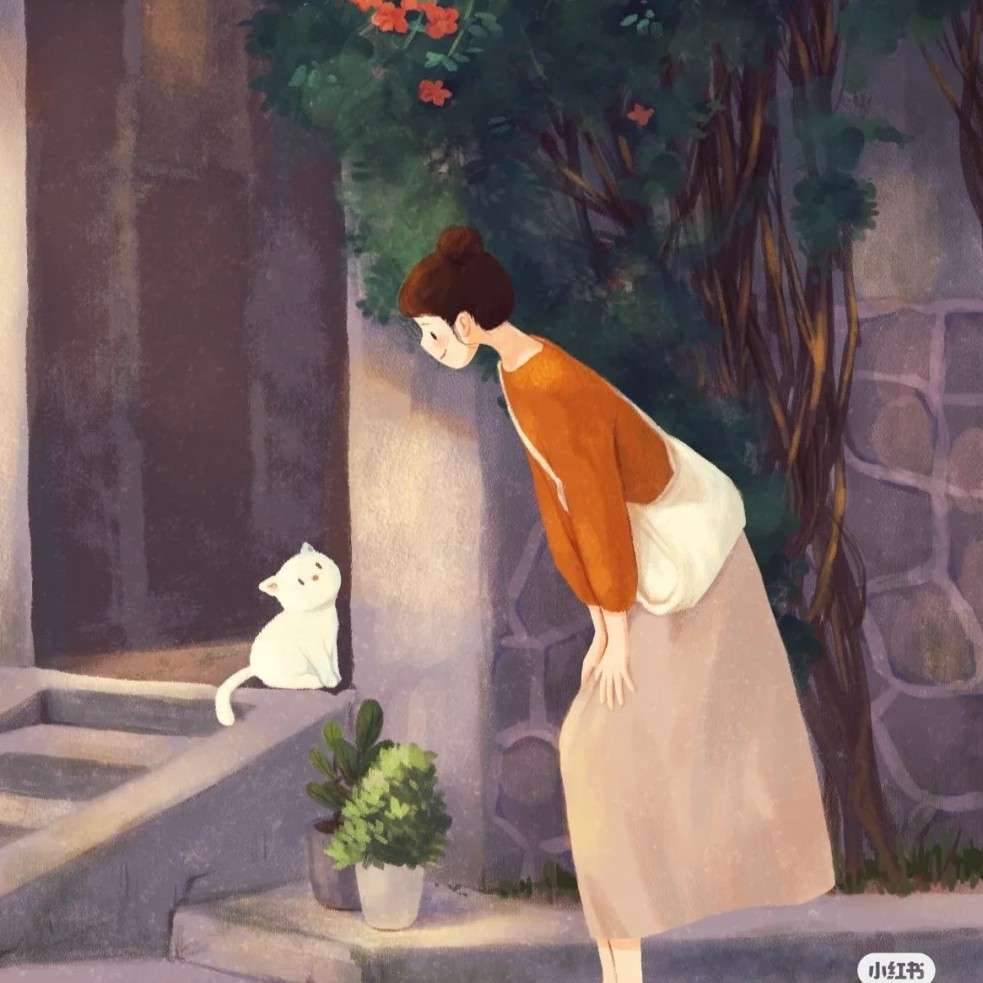 晨曦的清欢生活