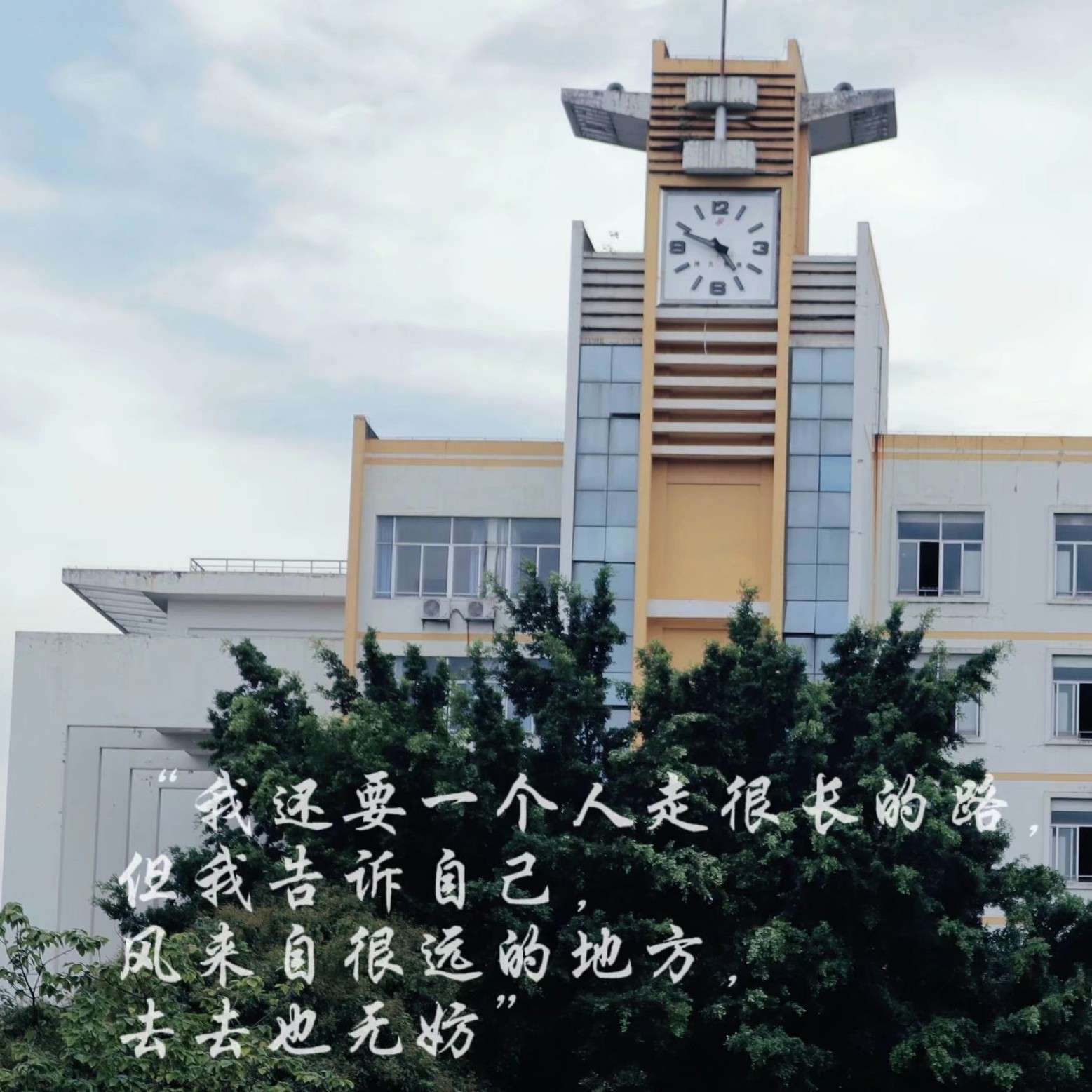 情感