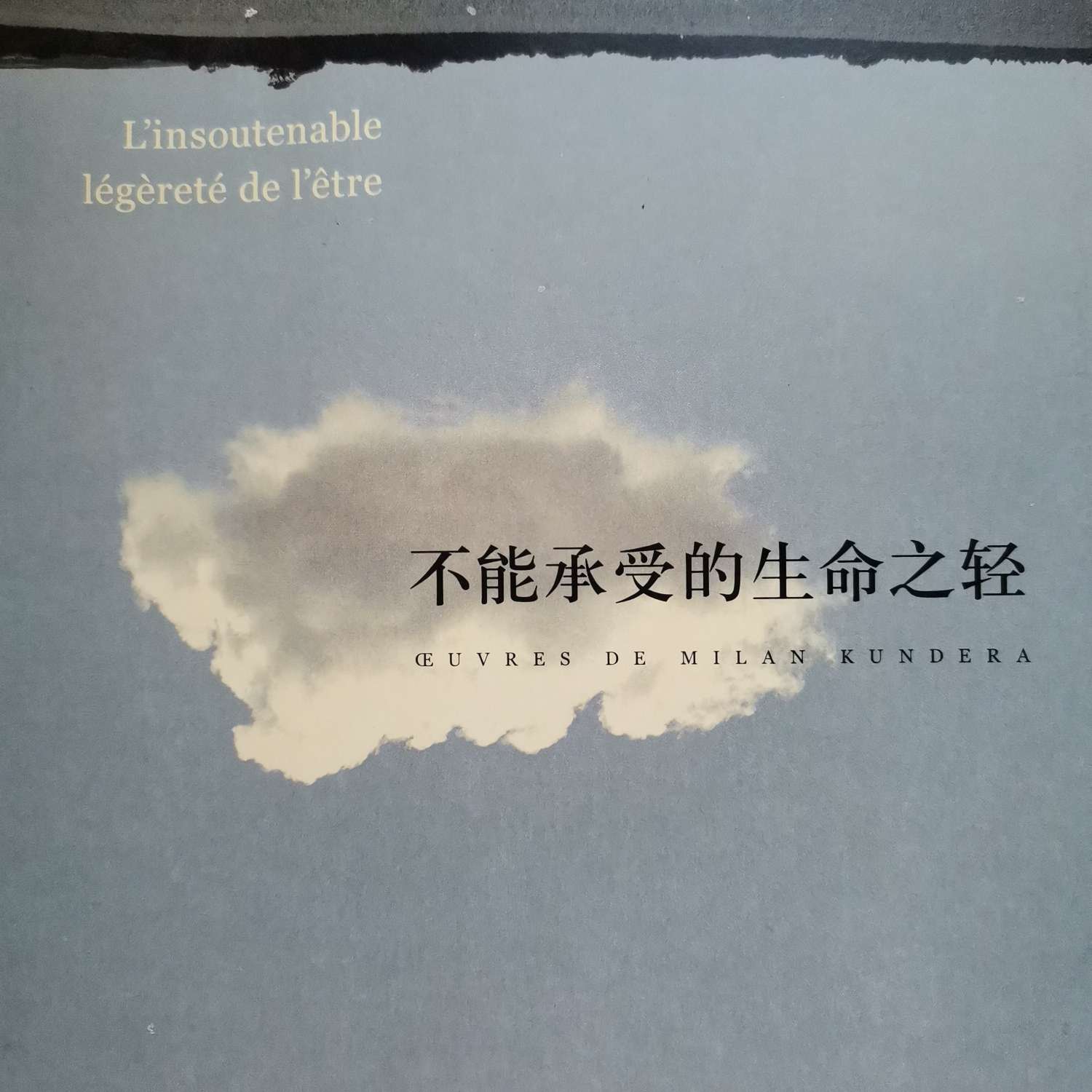 不能承受的生命之轻