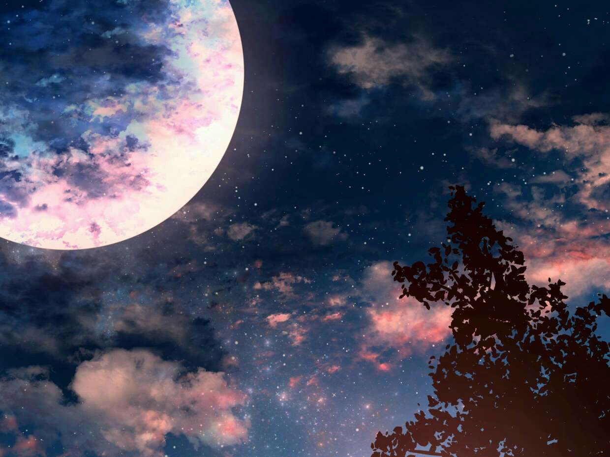 《杀死一只知更鸟》书评