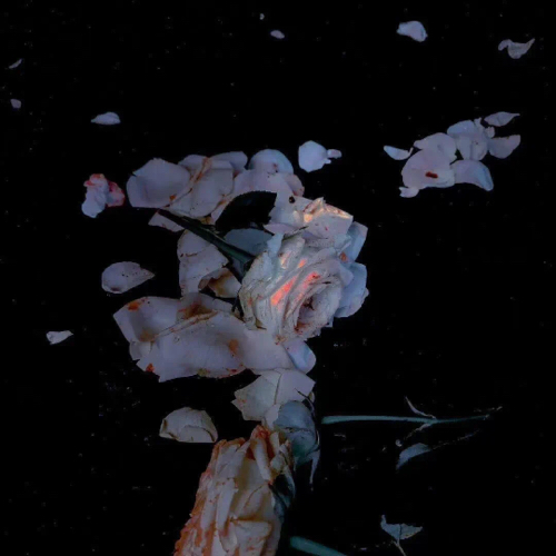 心动