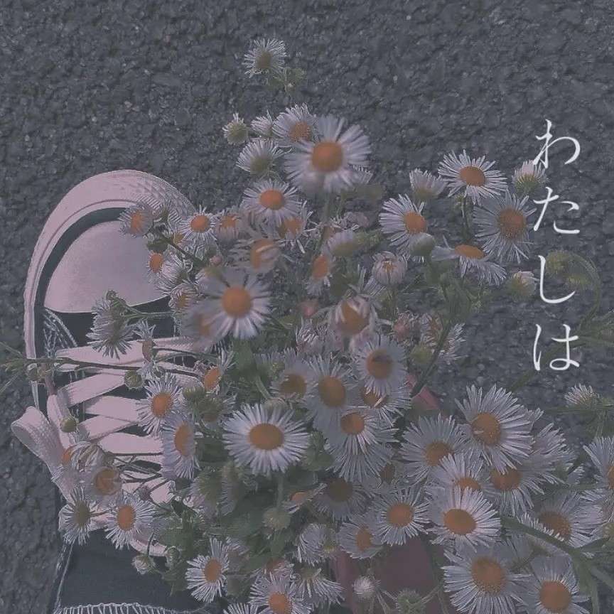 青春时间