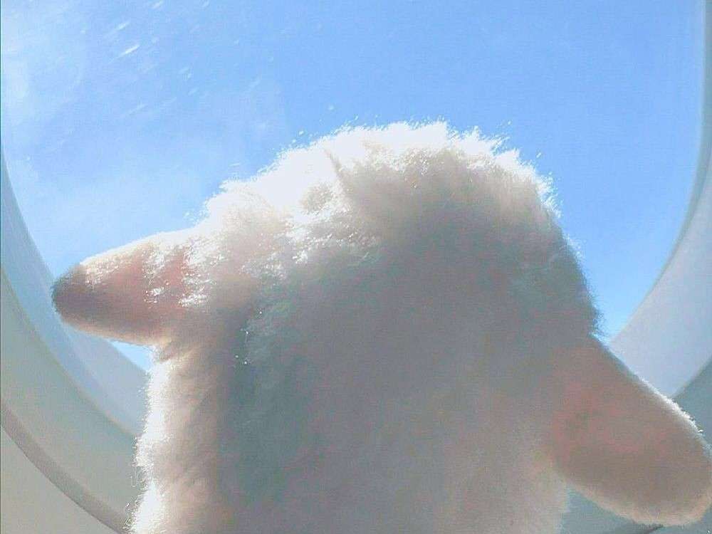 吐出所有的不快乐吧