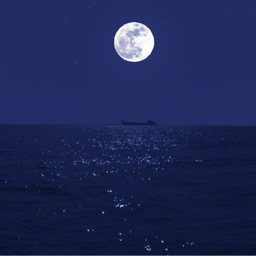 你与星辉同样浪漫