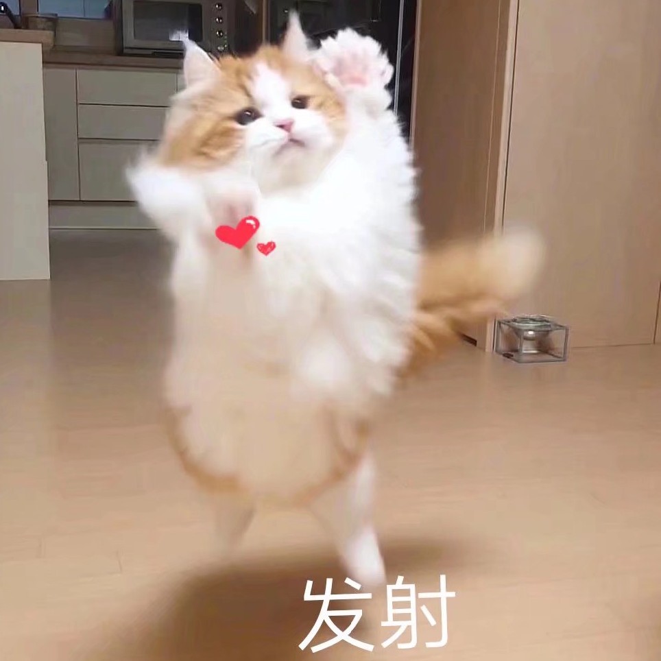 淡彩