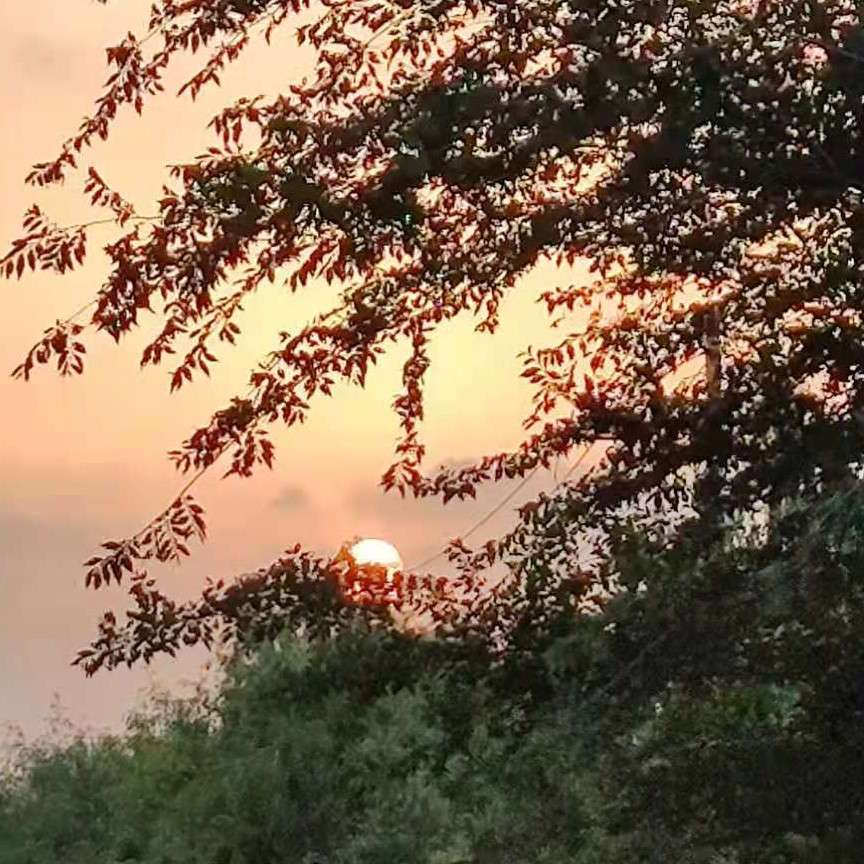 目光所至都是你