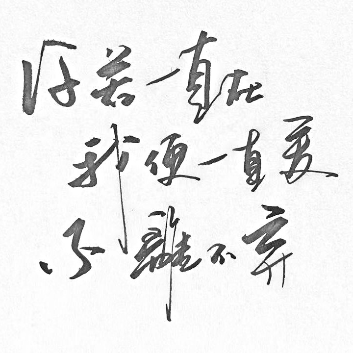 11月