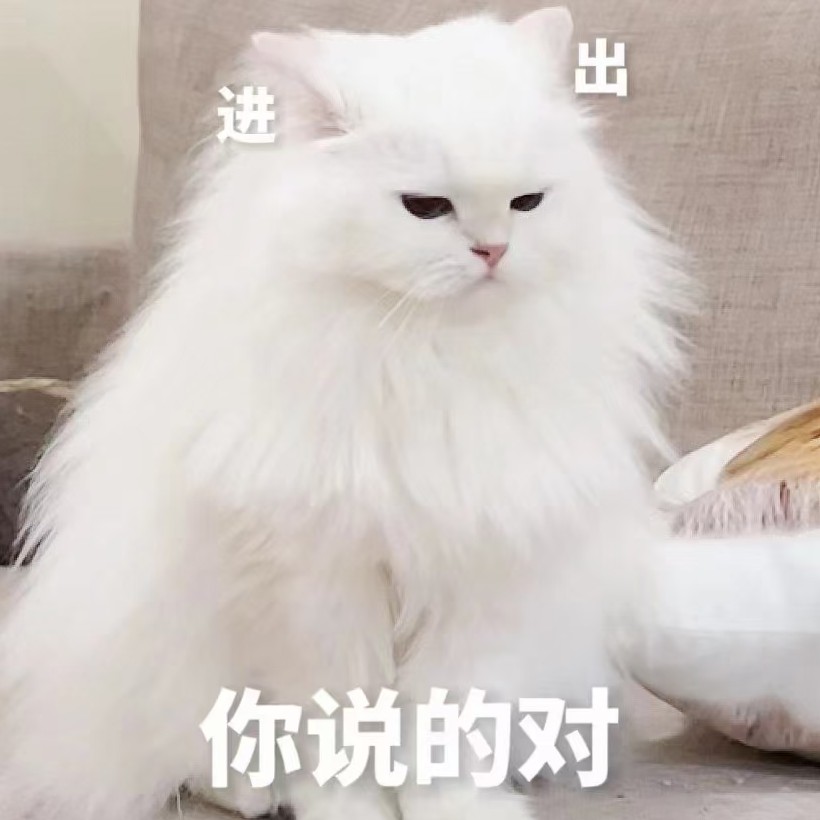 自愈6
