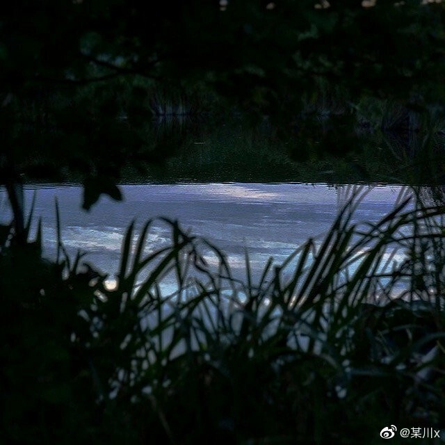 限時觀看