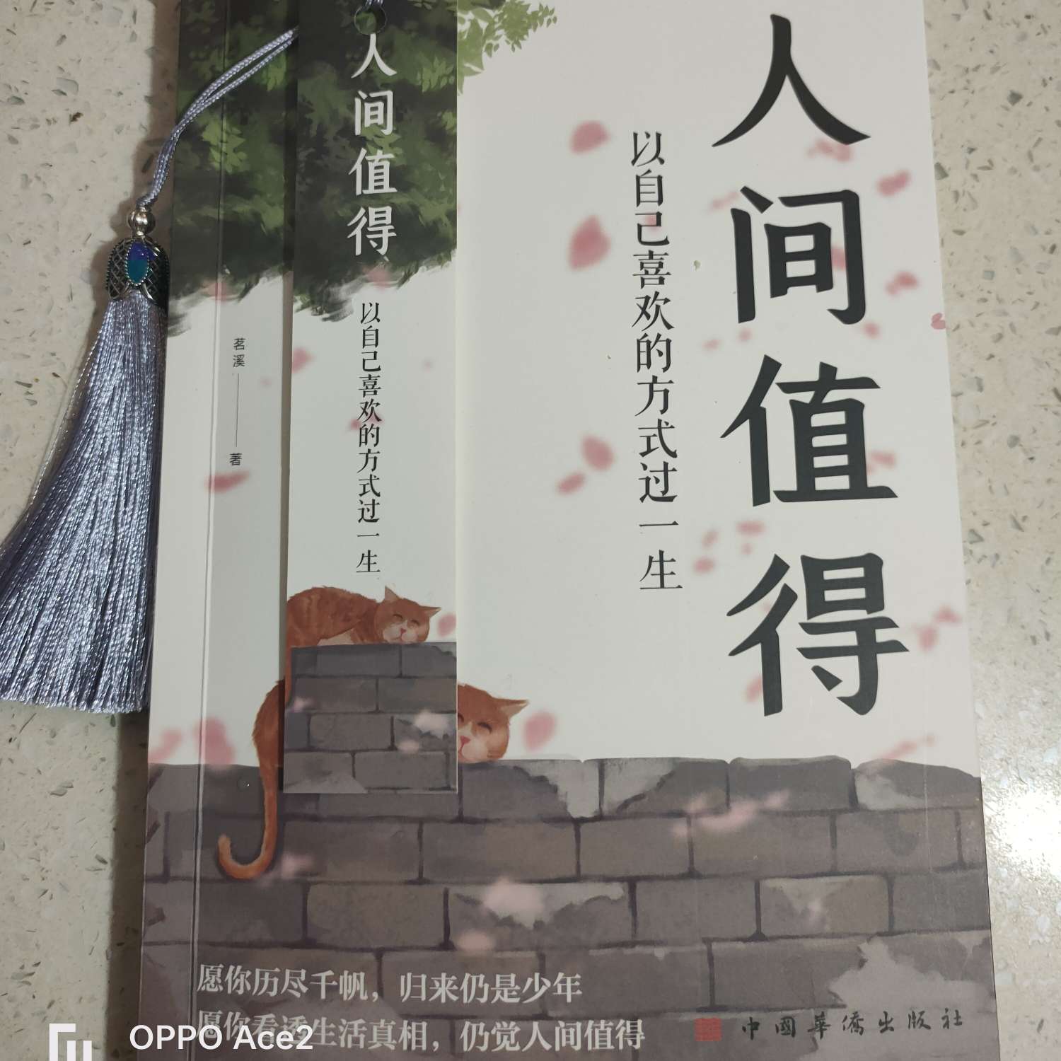 人间值得