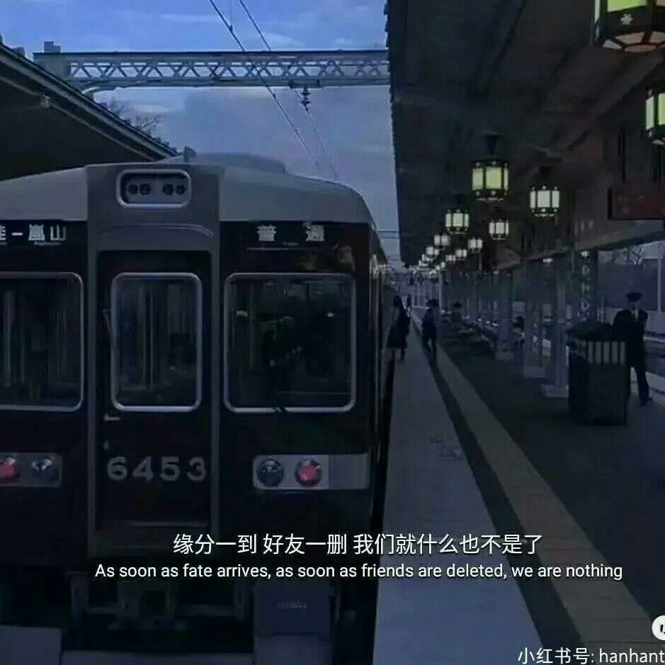 睡觉专业户