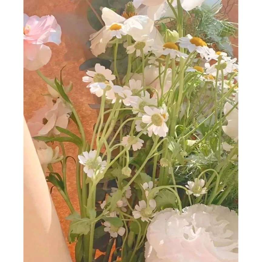 茶花女