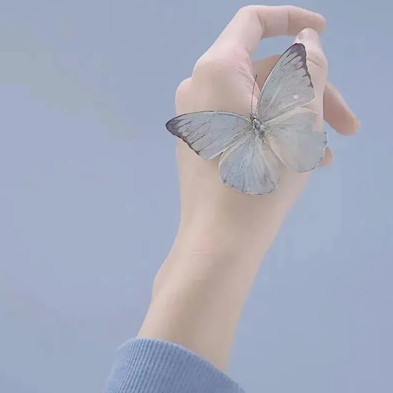 所见的零散