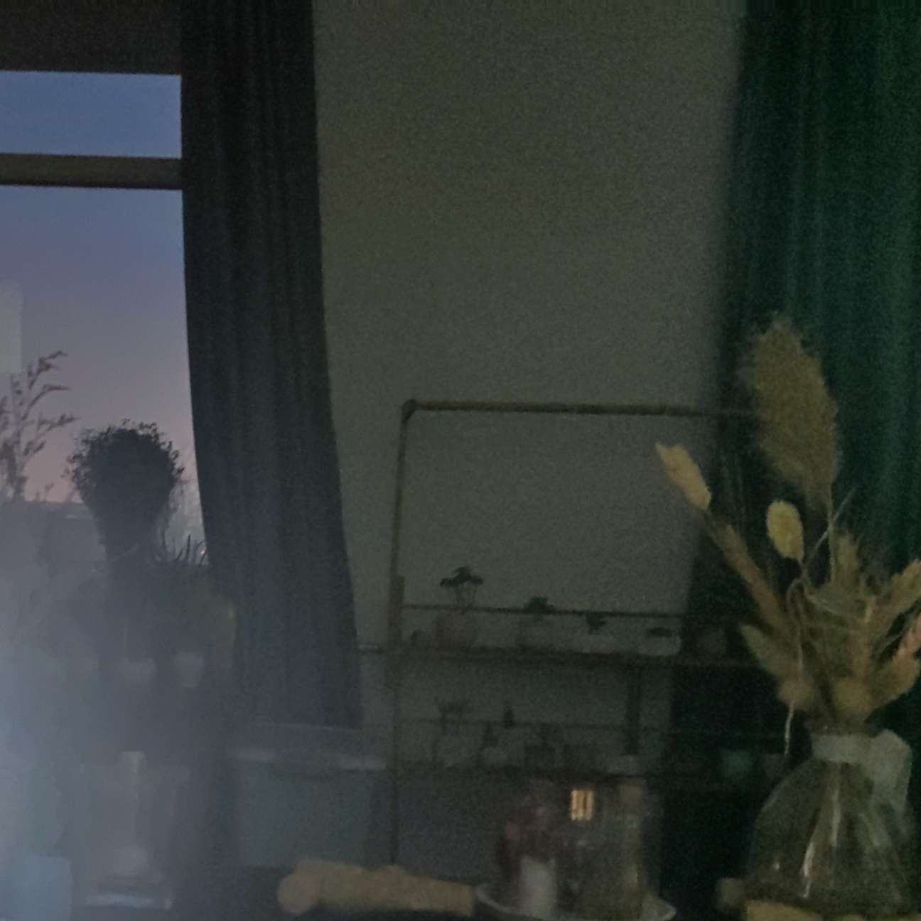《月牙儿》