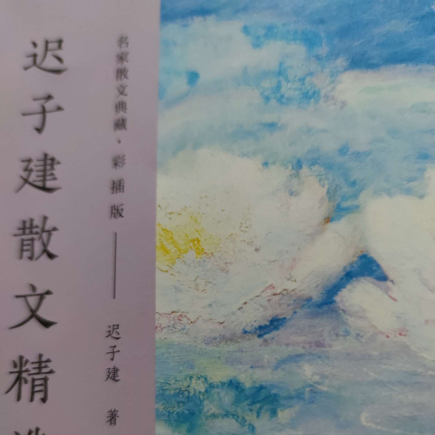 迟子建散文