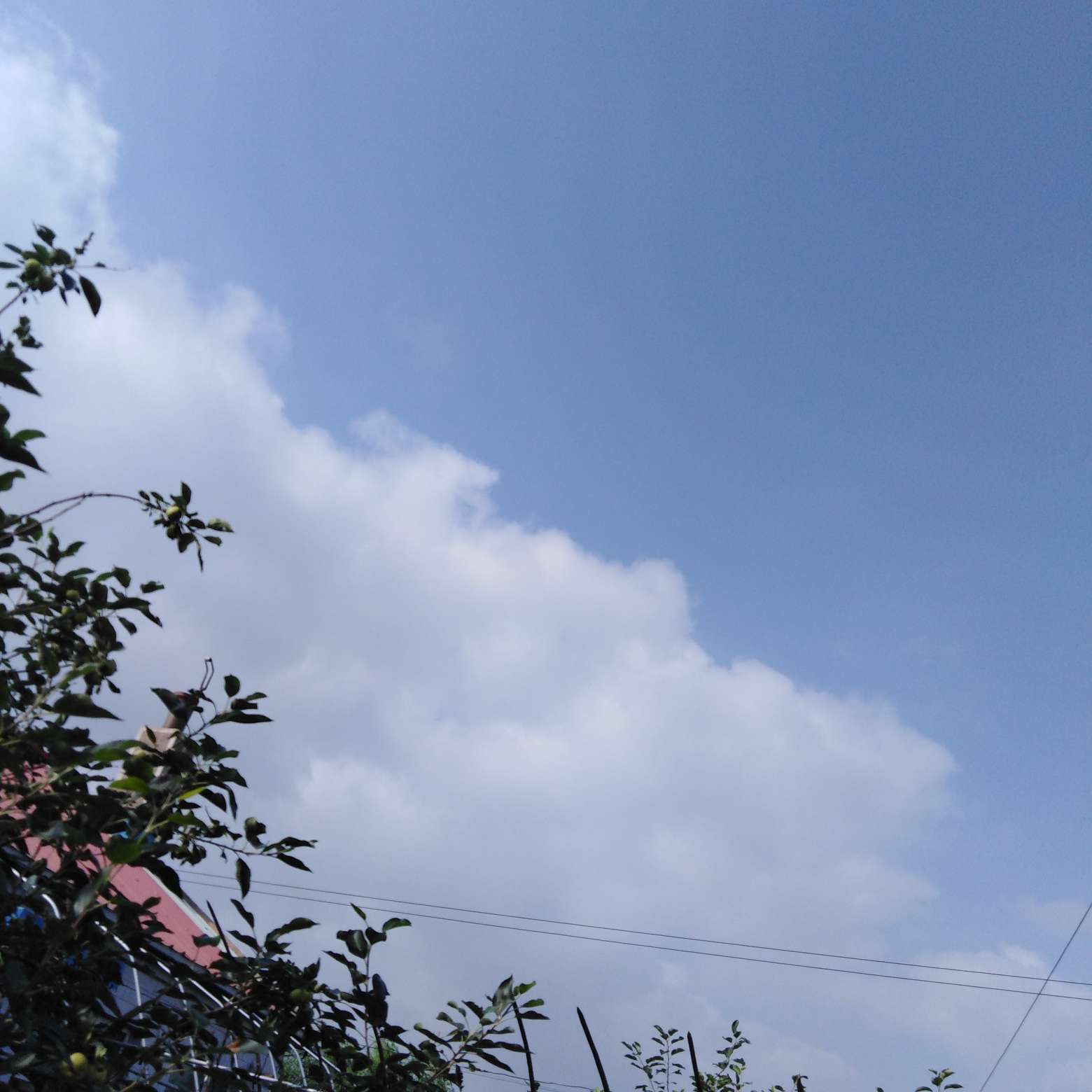 作文