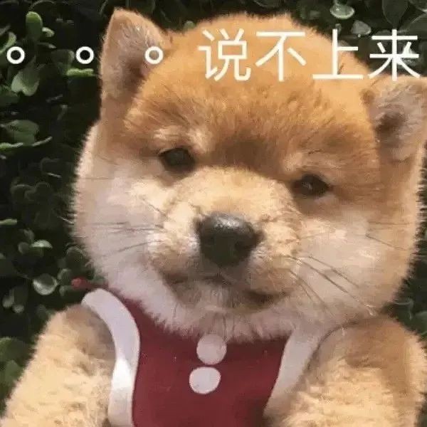 搞笑自成一派！