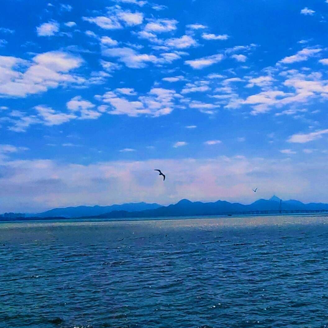 海婷专辑