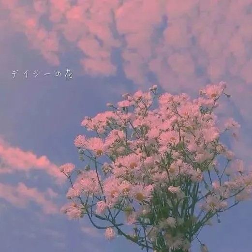 stray的专辑