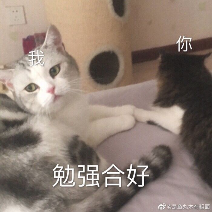 磨磨