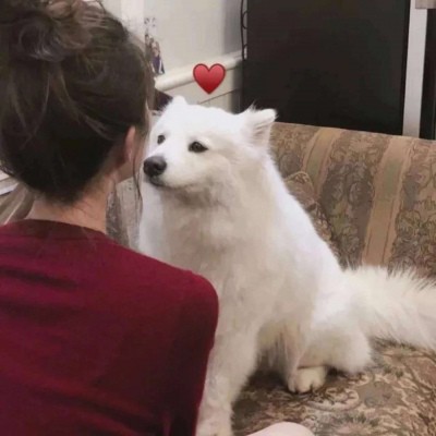 励志