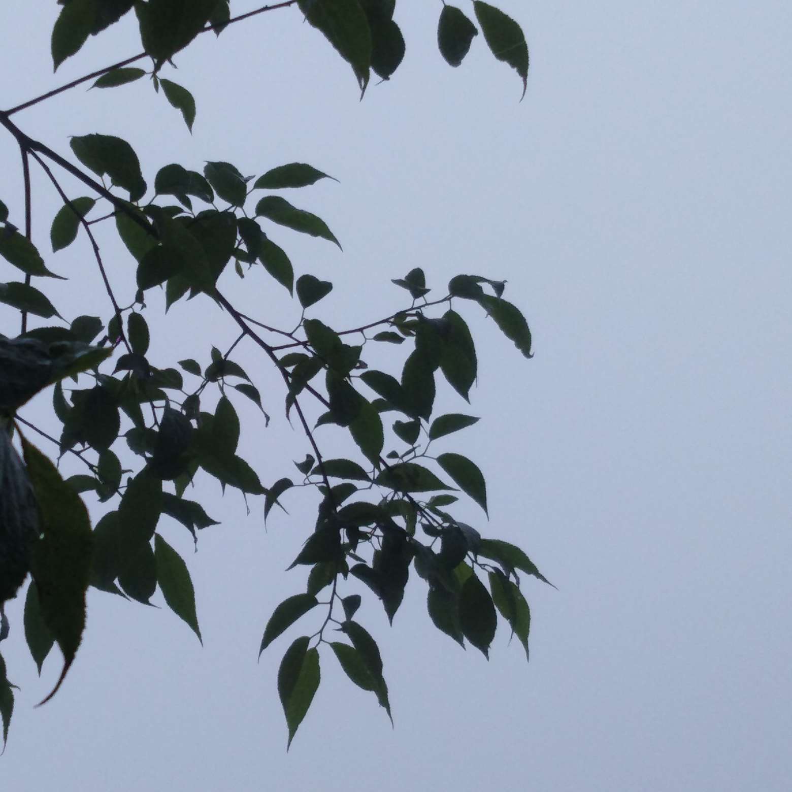杂七杂八