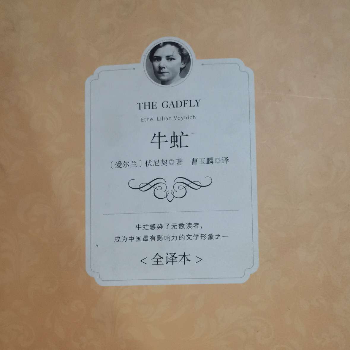 牛虻