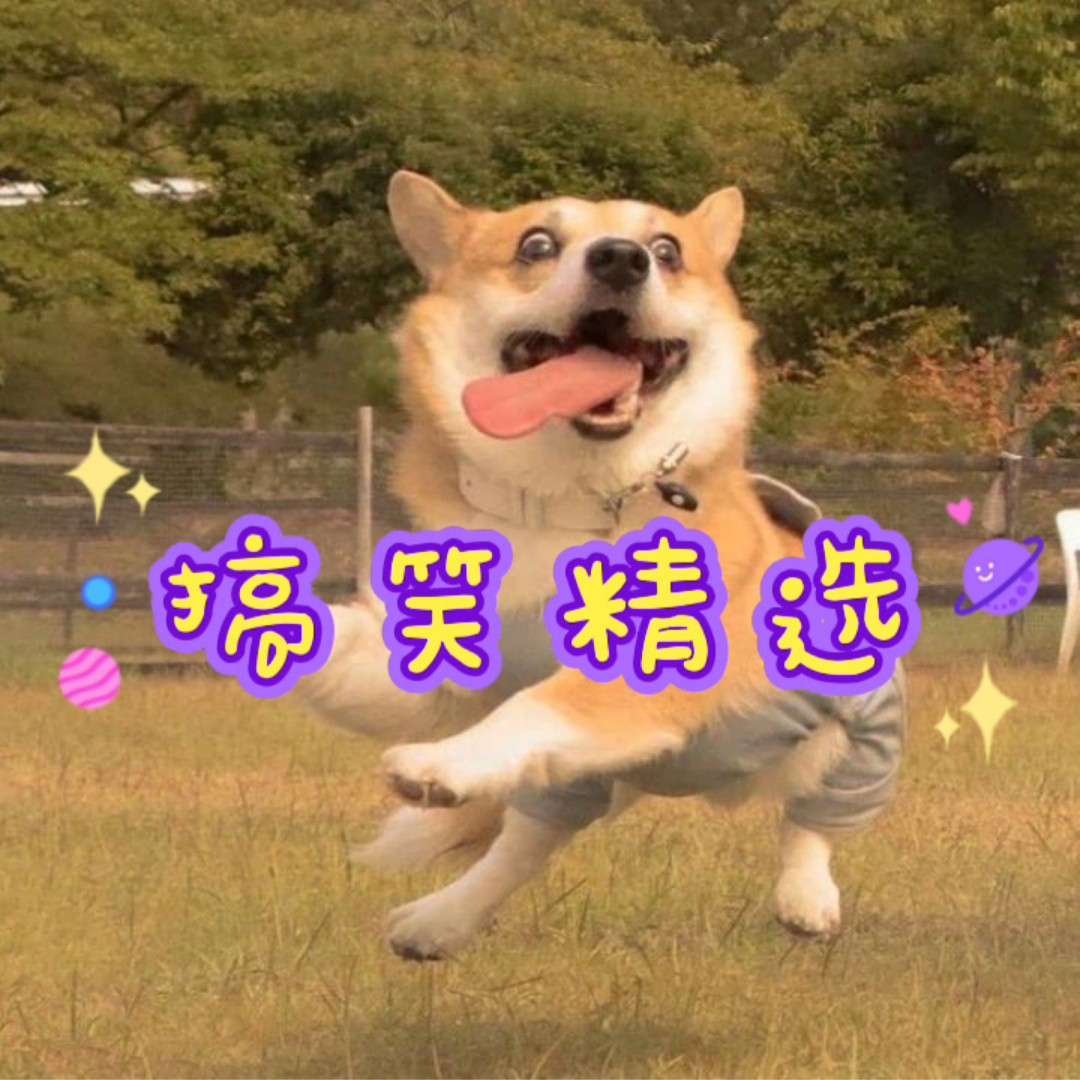 搞笑文案精选