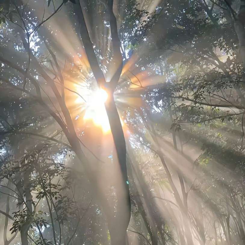正能量