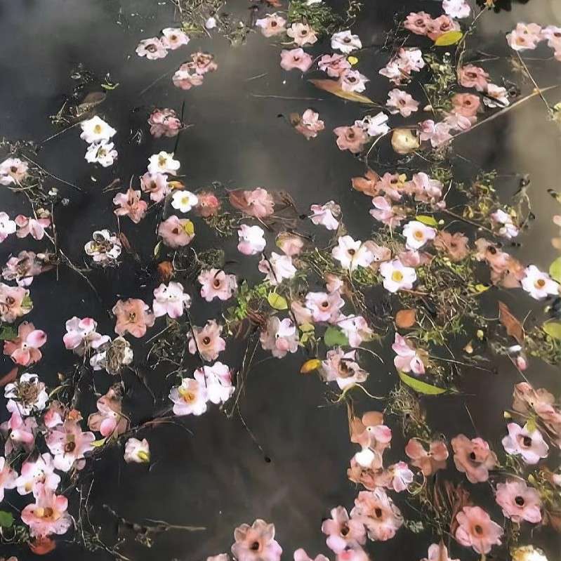 情绪管理