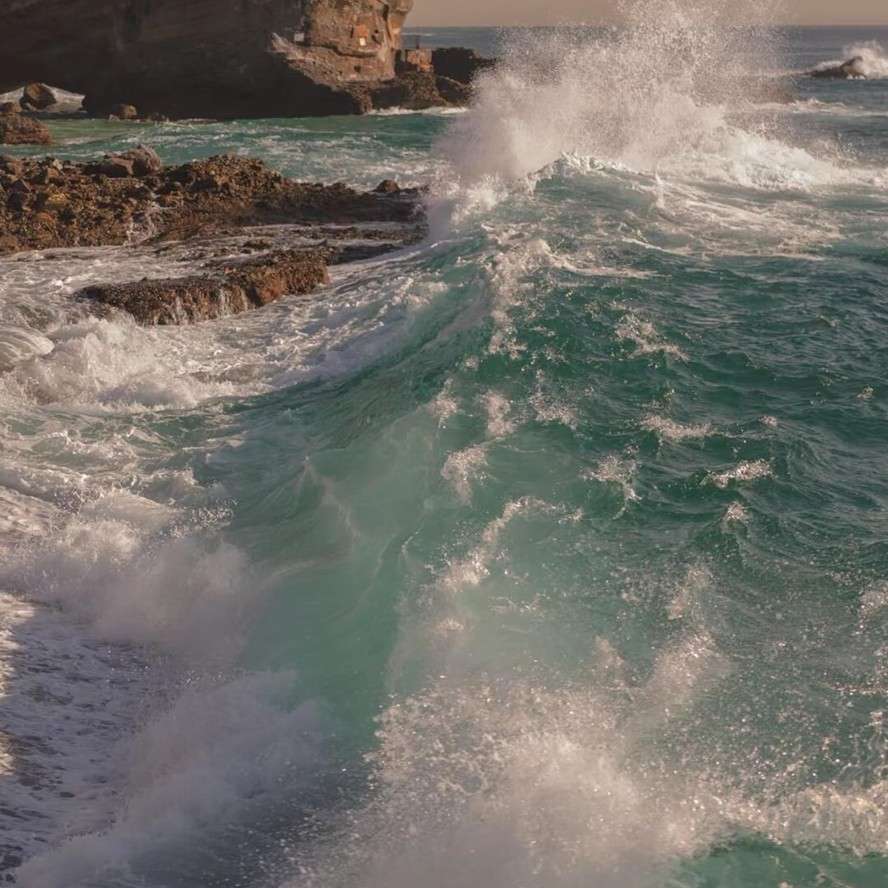 海