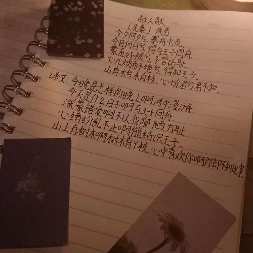 法律